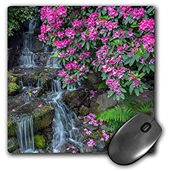 【中古】【輸入品・未使用】3dRose Mouse Pad Oregon Portland Rhododendron Blooms Alongside Waterfall and Ferns 8 x 8' (mp_279355_1) [並行輸入品]