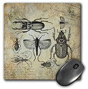 yÁzyAiEgpz3dRose 1 Durable Mouse Pad (mp_264754_1) [sAi]