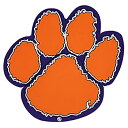 yÁzyAiEgpzNCAA Clemson 'Tiger Print Shape' USB Drive [sAi]