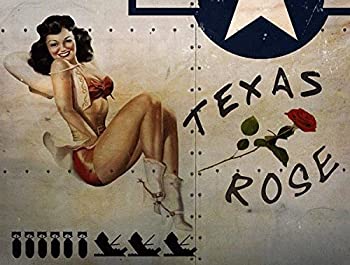 楽天アトリエ絵利奈【中古】【輸入品・未使用】OMSigns Texas Rose Metal Sign WWII Airplane Nose Art Pinup Girl Vintage Decor [並行輸入品]