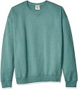 【中古】【輸入品・未使用】Hanes Men's ComfortWash Garment Dyed Fleece Sweatshirt Cypress Green Large