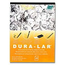 【中古】【輸入品・未使用】Grafix DM1417 14 in. x 17 in. Dura-lar Matte Film