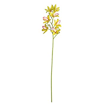 【中古】【輸入品・未使用】Vickerman fa188904?Green Orchid Floral Stem、6ピース