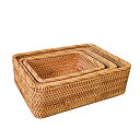 【中古】【輸入品・未使用】AMOLOLO ハンドメイド 長方形 ウィッカー フルーツボックス ラタントレイ マガジンオーガナイザー 小さな物容器 サービングバス...