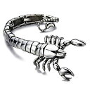 yÁzyAiEgpzYXeXX`[Large ScorpionoOuXbgVo[J[Polished