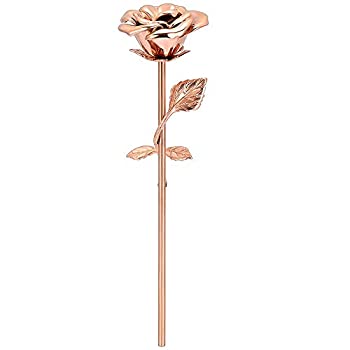 【中古】【輸入品・未使用】Imrsanl バラの花 形見 骨壷 - ブルーローズ 記念品 - 長いステム カラフル ローズ フラワー 火葬用骨壷 - 人遺灰用葬式骨壷 大人用 遺灰用火葬