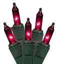 Vickerman Mini Light Set Features 100 Bulbs Lights on Green Wire and 4 Bulb Spacing for Indoor/Outdoor Use 33' Purple by Vickerman