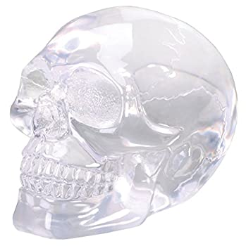 yÁzyAiEgpzSmall Clear Translucent Skull Collectible Figurine by Summit