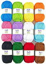 【中古】【輸入品・未使用】Mira Handcrafts(ミラハンドクラフツ) アクリル1.76オンス(50g) 大きな糸のかせ ? 12のマルチカラー ニッテ...