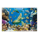 【中古】【輸入品・未使用】Undersea Backdrop ( 3?pcs。1セットあたり) Assembled、9?ft。X 6?FT。プラスチック