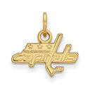 【中古】【輸入品・未使用】スターリングシルバーW / GP LogoArtピッツバーグ大学XSペンダント