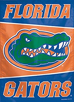 yÁzyAiEgpzWinCraft NCAA K[ftbO Florida Gators