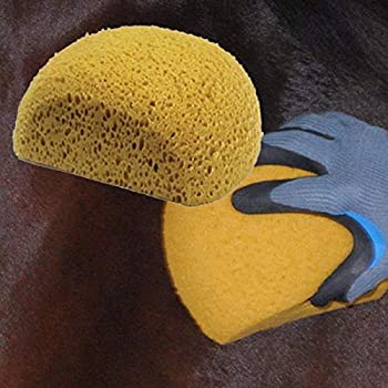 【中古】【輸入品・未使用】Intrepid International ハーフムーンバススポンジ