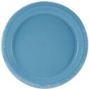 yÁzyAiEgpzBermuda Blue (Turquoise) Paper Dinner Plates o~[_u[igR΁j̃fBi[v[gnEBNX}X