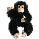 yÁzyAiEgpzBaby Chimpanzee Puppet