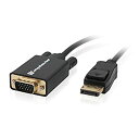 yÁzyAiEgpzIDisplayPort / VGArfIP[u