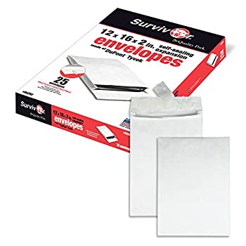 šۡ͢ʡ̤ѡQuality Park R4292 Quality Park Tyvek Open End Exp Envelopes 12x16x2 White 25/box by Quality Park