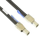 【中古】【輸入品・未使用】Mini SAS 12G cable SFF 8644 1m(2)