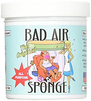 【中古】【輸入品・未使用】Bad Air Sponge