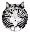 yÁzyAiEgpzRescue Me Now Grey Tabby Cat Ear Plate 27cm