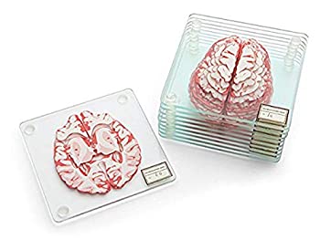 【中古】【輸入品・未使用】ThinkGeek 脳標本コースター