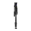 【中古】【輸入品・未使用】Benro a38fs2ビデオ一脚キット(a38fs2?)