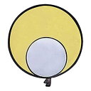 【中古】【輸入品・未使用】Promaster reflectadisc???シルバー/ゴールド???32?