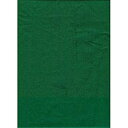 【中古】【輸入品・未使用】PromasterソリッドBackdrop???6?' x 10?'???Chromakeyグリーン