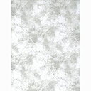 【中古】【輸入品・未使用】Promasterクラウド染めBackdrop???10?' x 12?'???ライトグレー