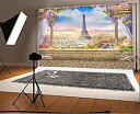 【中古】【輸入品・未使用】8x6.6フィート Laeacco ビニール写真背景 古代建築 バルコニー パリの景色 エッフェル塔 空中都市 トップビュー ピラーカーテン ロマンチック フ
