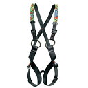 yÁzyAiEgpzPetzl(yc) Vo C65