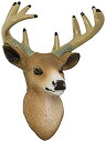 yÁzyAiEgpzDeer Head Magnet DecoSet Cake Decoration by Decopac