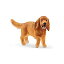【中古】【輸入品・未使用】シュライヒ Schleich イングリッシュ・コッカー・スパニエル Farm World 13896 11,980円