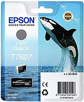 šۡ͢ʡ̤ѡEpson C13T76074010 (T7607) Ink cartridge gray 10.2K pages 26ml