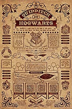 yÁzyAiEgpzHarry Potter Poster Hogwarts Quidditch 173 / n[E|b^[̃|X^[zO[cNBfBb`173