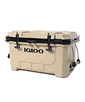 楽天市場】igloo(イグルー) クーラーボックス imx 24の通販 楽天市場】igloo(イグルー) クーラーボックス imx 24の通販