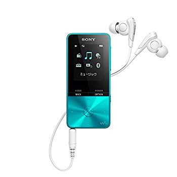 šۥˡ ޥ S꡼ 4GB NW-S313 : MP3ץ졼䡼 Bluetoothб 52Ϣ³ ۥ° 2017ǯǥ ֥롼 NW-S313 L