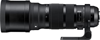 【中古】SIGMA 120-300mm F2.8 DG OS HSM | Sports S013 | Nikon F-FXマウント | Full-Size/Large-Format