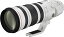 šCanon ˾󥺡 EF200-400mm F4 L IS USM EXTENDER1.4 ե륵б