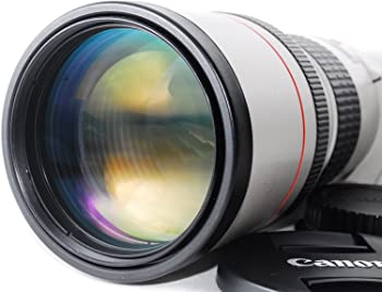 【中古】Canon キャノン EF 300mm F4L USM 高級単焦点レンズ カメラ