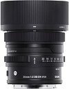 【中古】35mm F2 DG DN ライカL用(2)