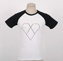 【中古】【未使用】EXO 公式 Tシャツ (Kiss & Hug Ver.) サイズ S