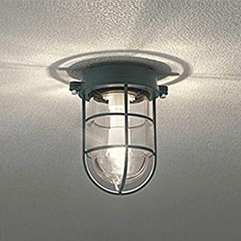 š̤ۡѡODELIC(ǥå) ڹɬס ȥɥƥꥢ LED֥饱å Ǯ40W 㥳륰...