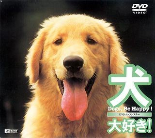 【中古】シンフォレストDVD %ダブルクォーテ%犬、大好き！　Dogs Be Happy!%ダブルクォーテ%