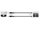 【中古】【未使用】JVCケンウッド ビクター ミニプラグ-先バラX2 2本1組 CN-137A(2)
