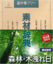 【中古】素材辞典 Vol.134 森林・木洩れ日編
