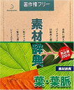 【ポイントアップ中!】【中古】素材辞典 Vol.13 葉・葉脈編