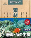 【中古】素材辞典 Vol.35 珊瑚・海の生物編 その1