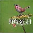【中古】野鳥365日/日めくり壁紙カレンダー 【中古】野鳥365日/日めくり壁紙カレンダー