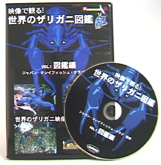 【中古】メディアジョイ 映像で見る!世界のザリガニ図鑑 Vol.1図鑑編